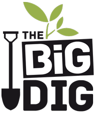 BigDigLogo_large