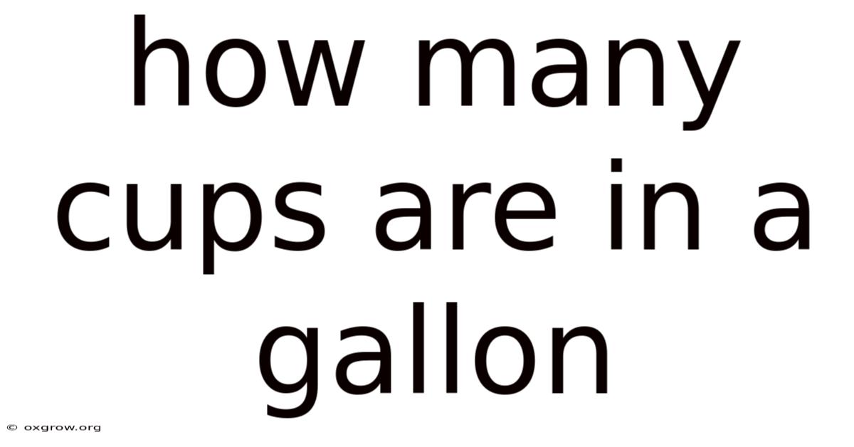How Many Cups Are In A Gallon