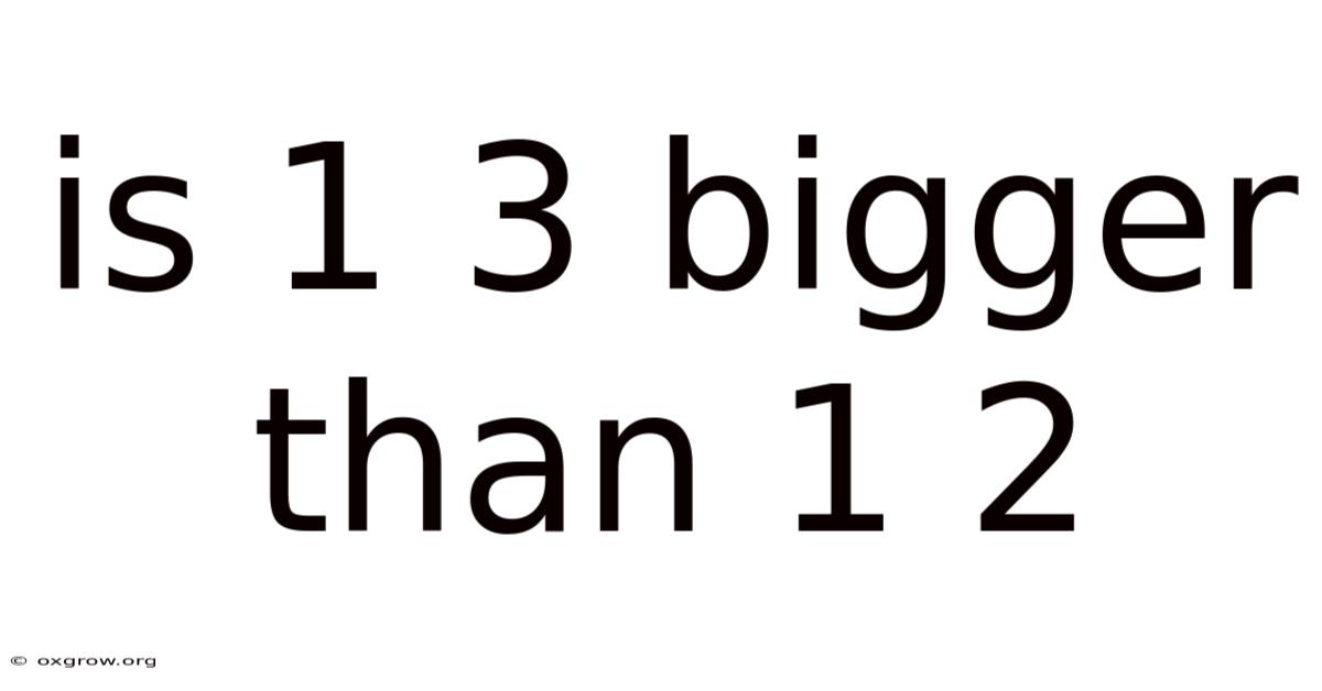 Is 1 3 Bigger Than 1 2