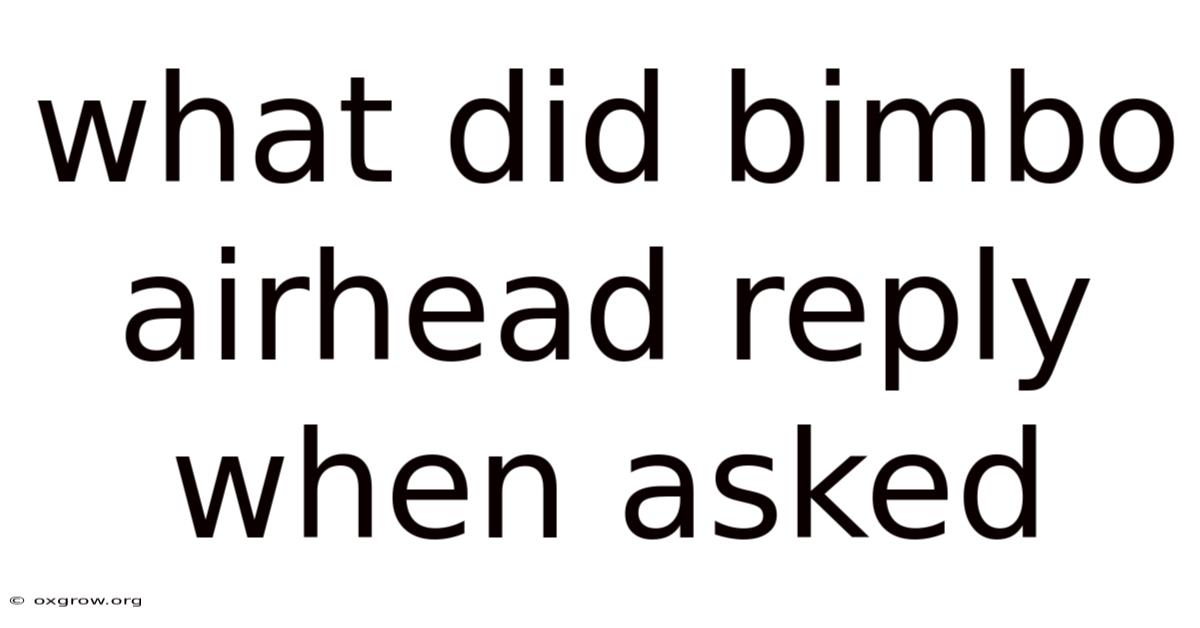 What Did Bimbo Airhead Reply When Asked