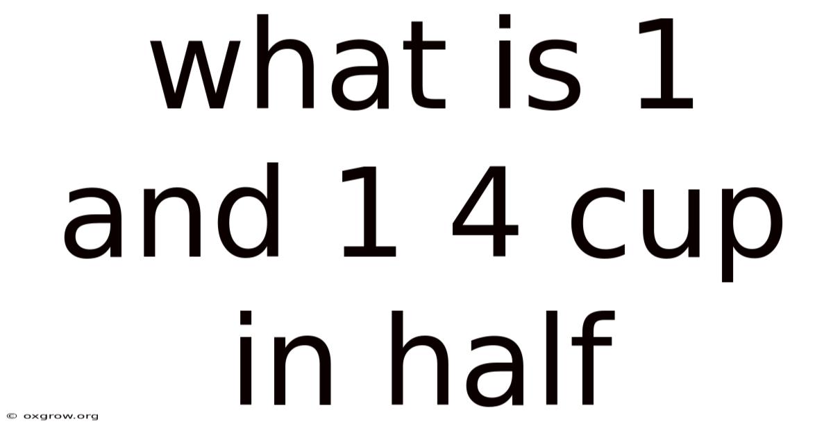What Is 1 And 1 4 Cup In Half