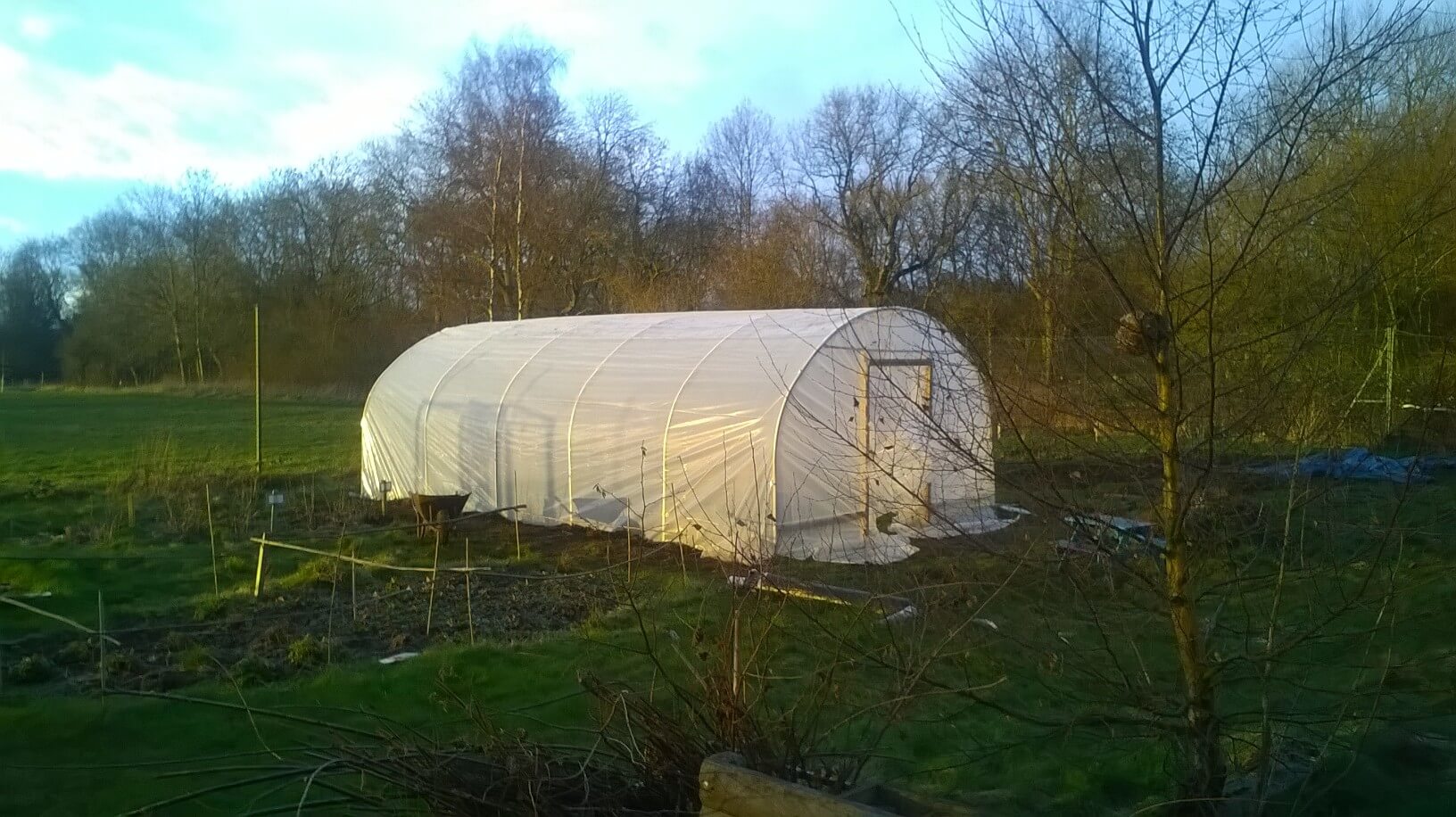 polytunnel-2